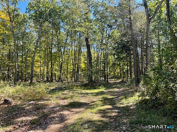 3rd image of Kozey Road