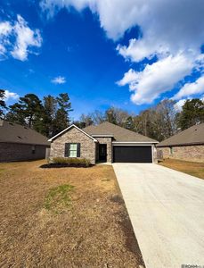 30925 Clearview Ct, Denham Springs, LA, 70726