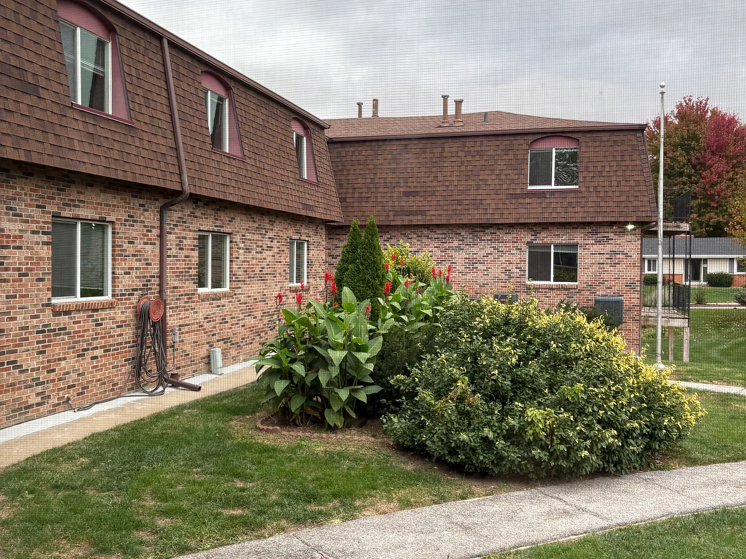 2 bed, 900 sqft, $1,100 — Photo 3