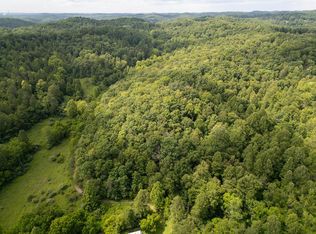 517 Lake Rd, Fort Gay, WV 25514