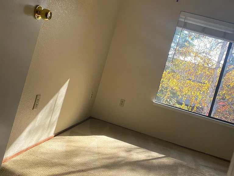 34651 Pueblo Ter — Photo 5