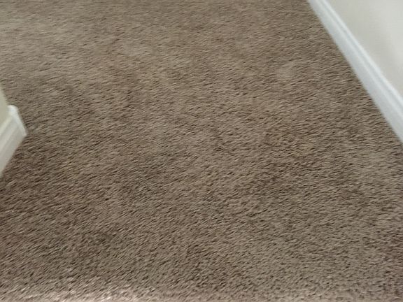 5th image of 6776 Bravura Ct