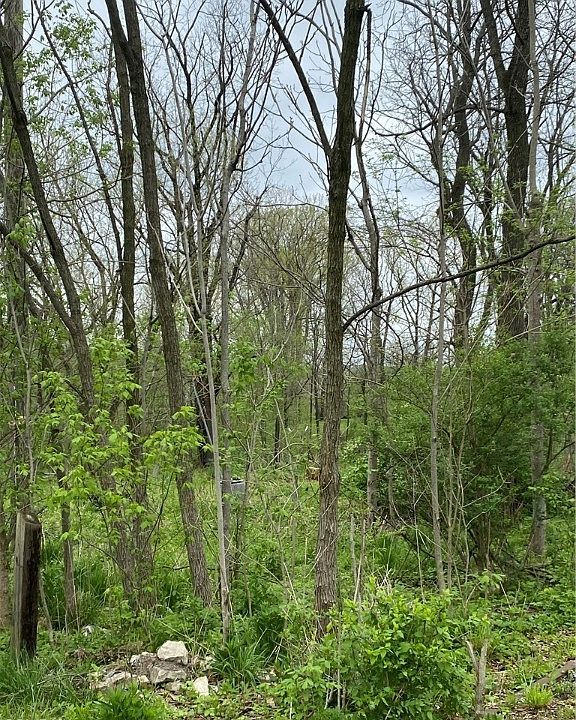 2nd image of Crock Rd