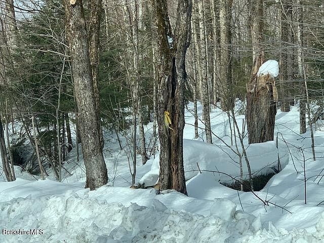 2nd image of 87 North Rd