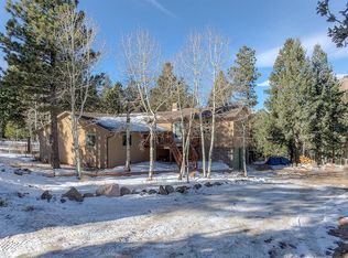 55 Ravenswood Ct, Bailey, CO 80421