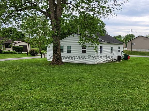 Back yard (Late Summer)