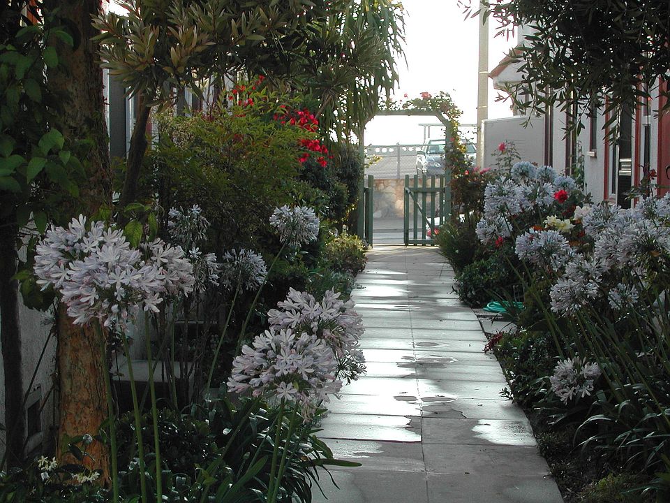 Point Fermin Cottages Courtyard