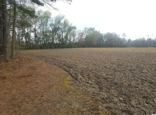 446 W Willow Pond Rd, Johnsonville, SC 29555