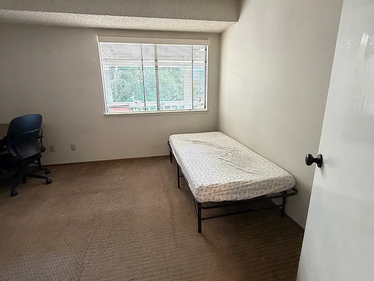 5323 Cribari Gln — Photo 6