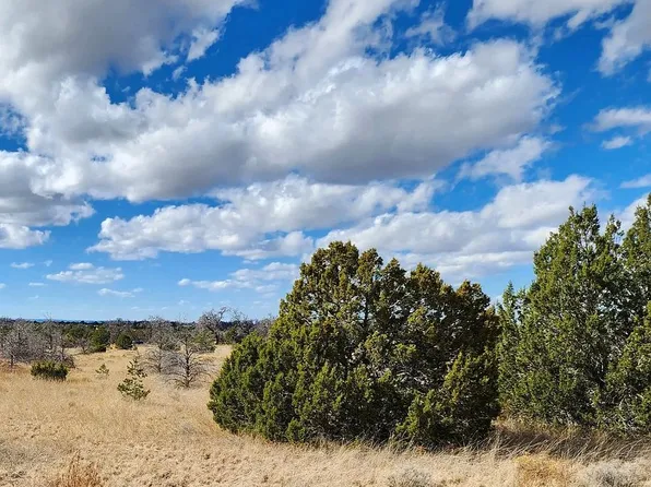 0 Betty Ln, Pinehill, NM 87357