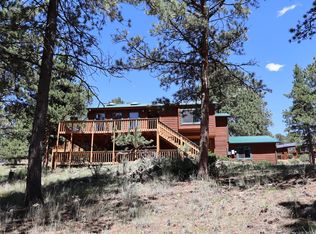 917 Bluebird Ln, Bailey, CO 80421