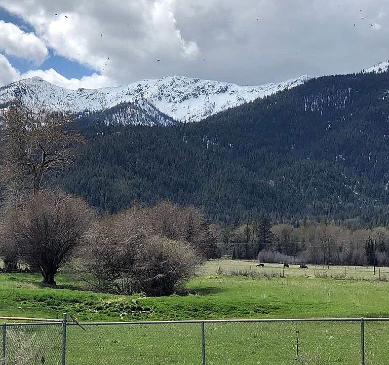 View from yard