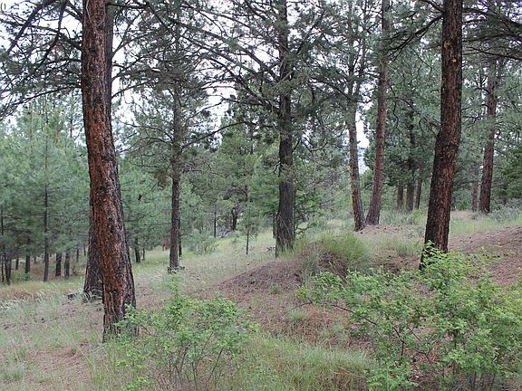 5th image of Pineview Ln