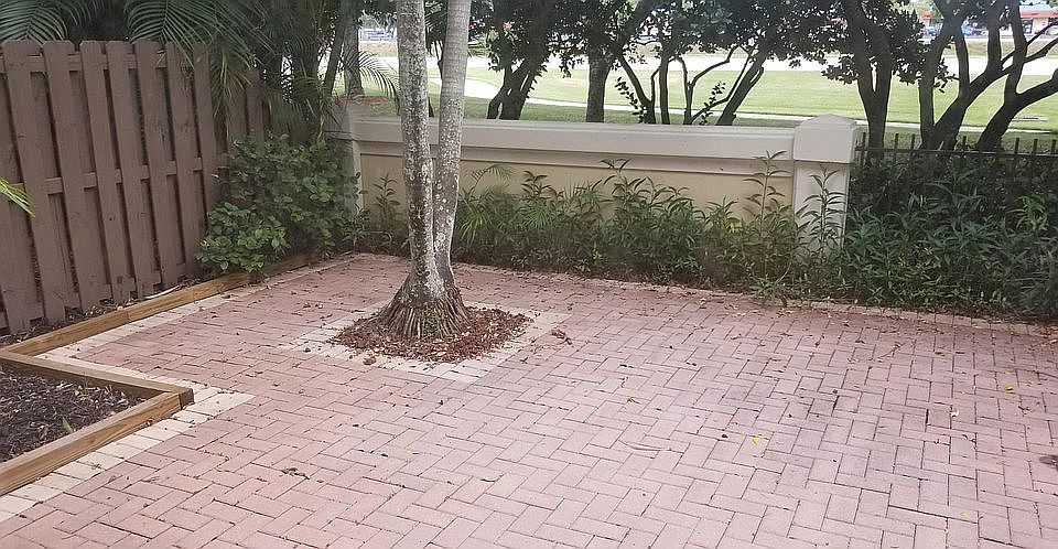Back Patio 