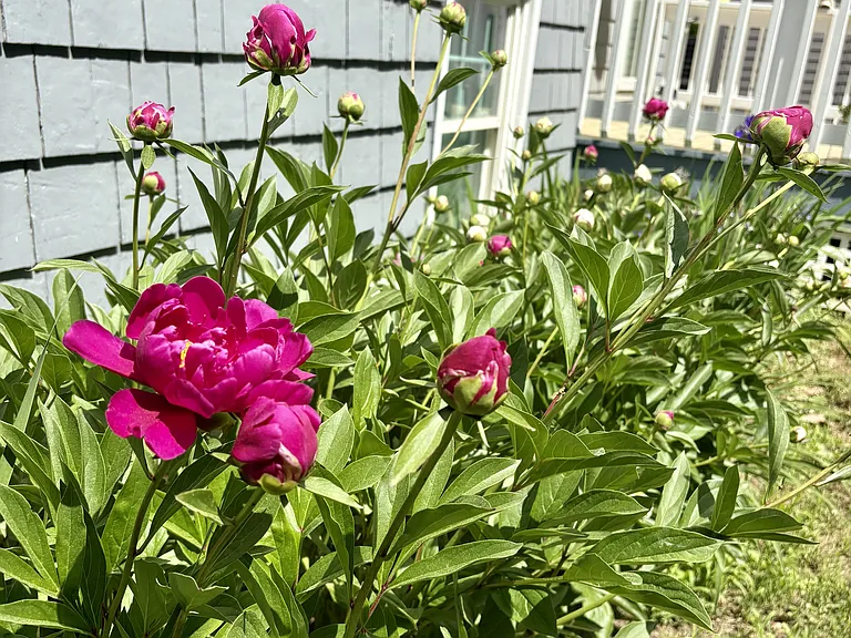 19 Pine Rd — Photo 27