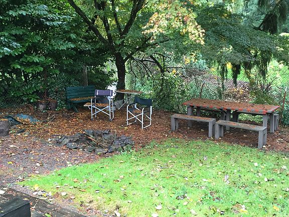 Beautiful peaceful yard