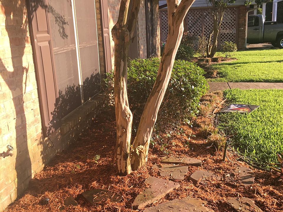 large back yard & patio