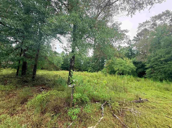 645 Vanderburg St, Kountze, TX 77625