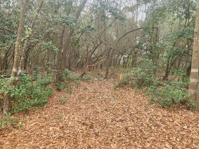 0 Old Lloydtown Rd, Aiken, SC, 29801