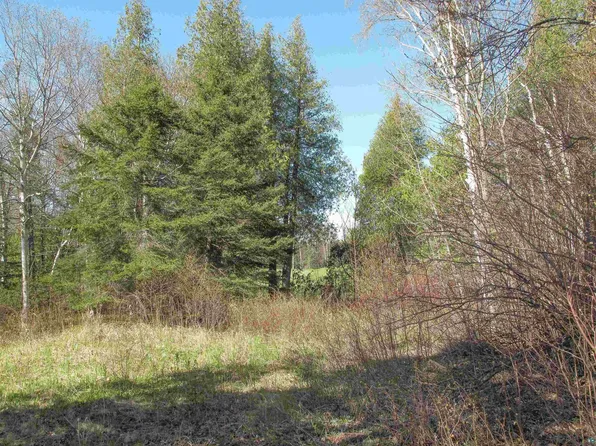 Yyy Big Cedar Trl, Lutsen, MN 55612