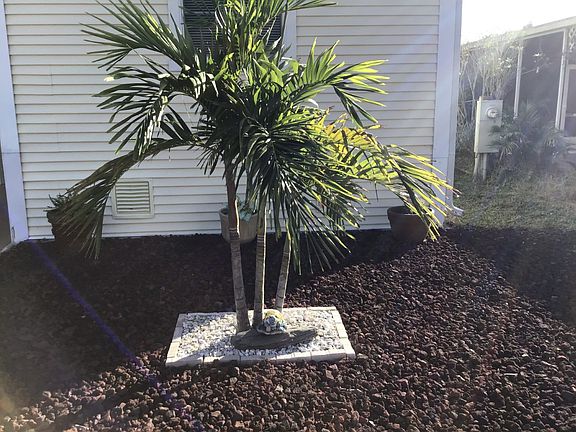 3rd image of 39248 Us Highway 19 N Lot 152