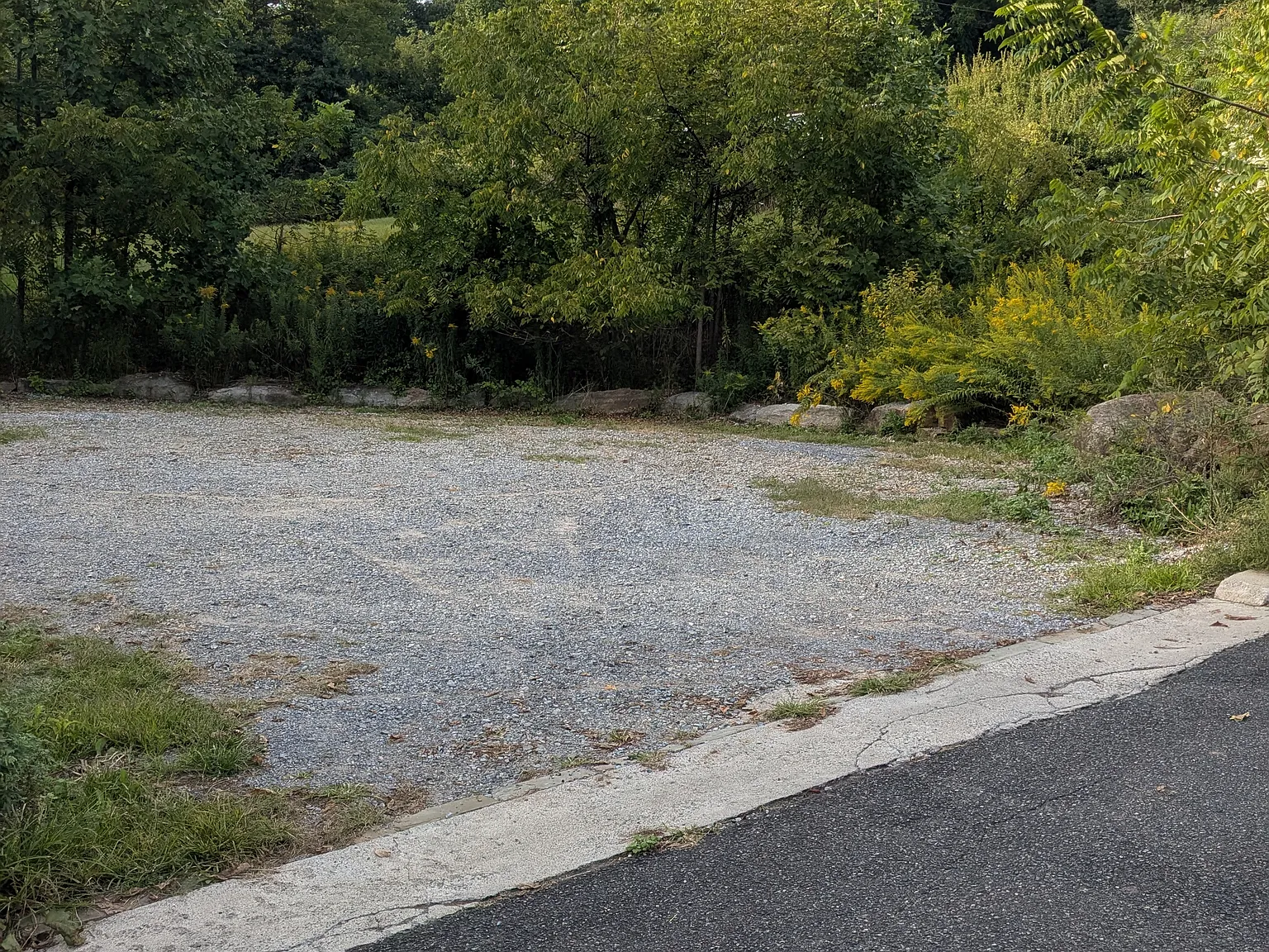 3 bed, 1.5 bath, 1300 sqft, $2,500 — Photo 3