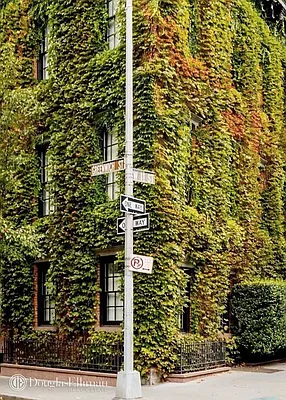 Rented by Douglas Elliman | media 8