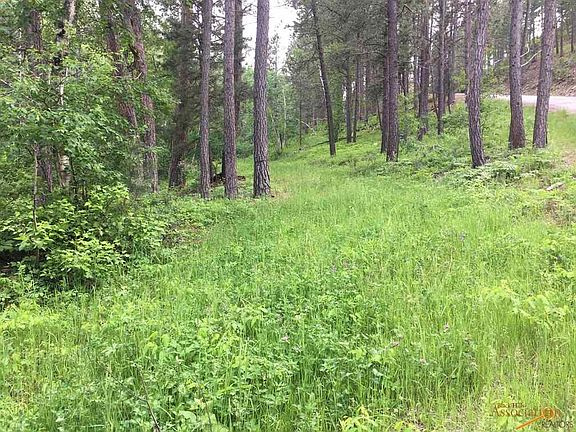 3rd image of 0 Danube Ln