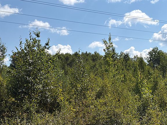 3rd image of On Holmes Road