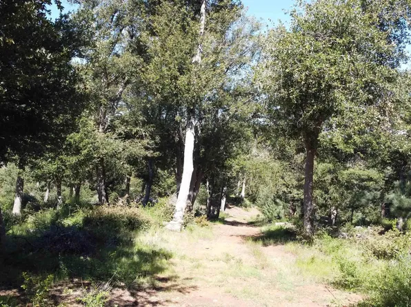 0 Toyon Mountain Ln #14, Julian, CA 92036