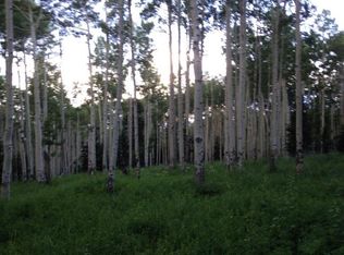 Tbd San Juan Vista Dr, Placerville, CO 81430