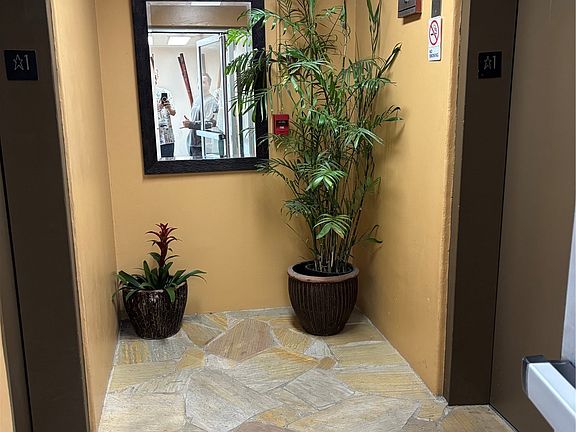 3rd image of 1050 Kinau St APT 903