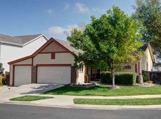 488 Mount Cameron Ct, Brighton, CO 80601