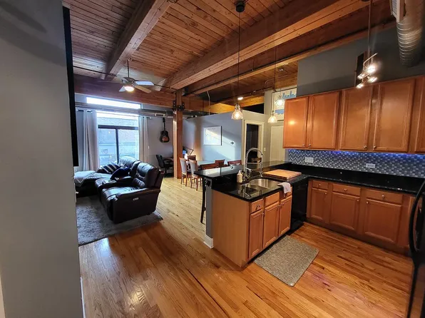 1610 S Halsted St Unit 208, Chicago, IL 60608