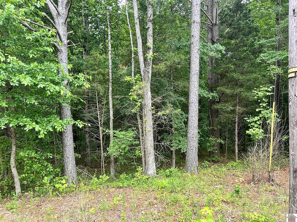 1st image of 0 Baywood Vista Dr #96 & 220