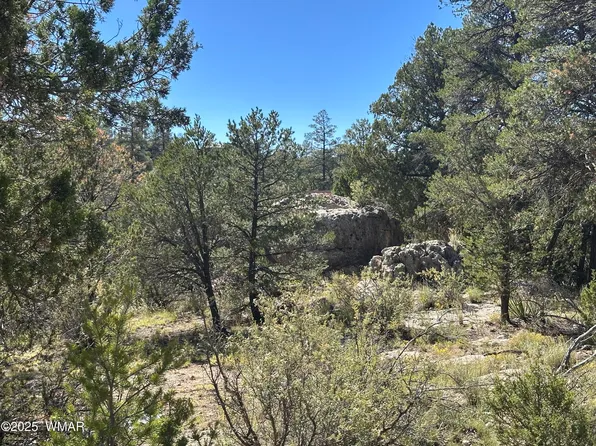 3673 Pine Rim Dr, Overgaard, AZ 85933