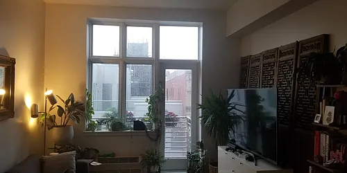 Rented by Fiddler Realty