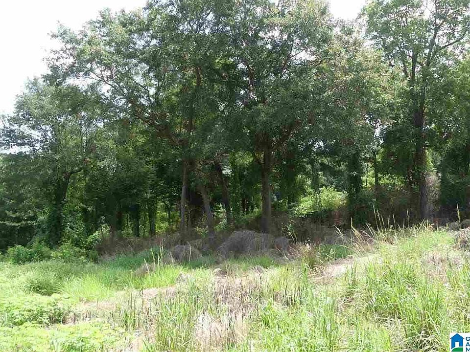 1st image of County Road 462 #0