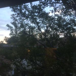485 S Madison Ave APT 5, Pasadena, CA, 91101
