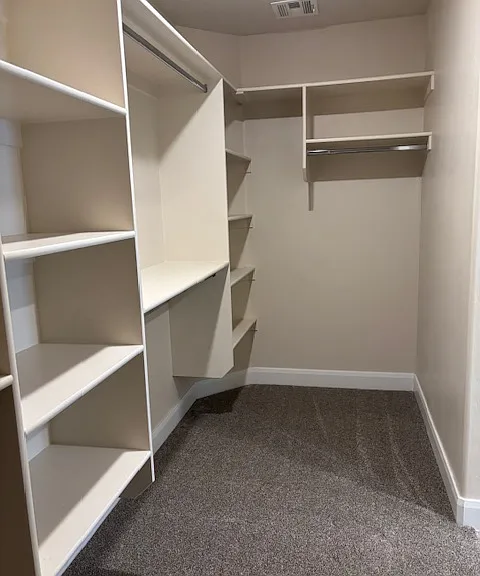 Master walk in closet