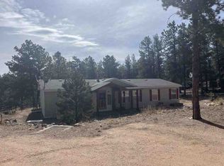 434 Blue Mountain Dr, Florissant, CO 80816