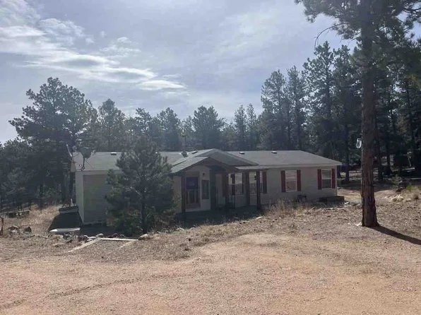 434 Blue Mountain Dr, Florissant, CO 80816