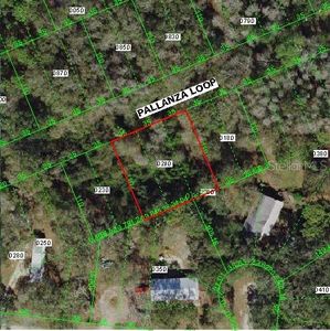 12456 Pallanza Loop, New Port Richey, FL, 34654