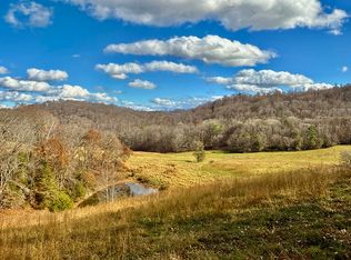 1520 Brittontown Rd, Afton, TN 37616