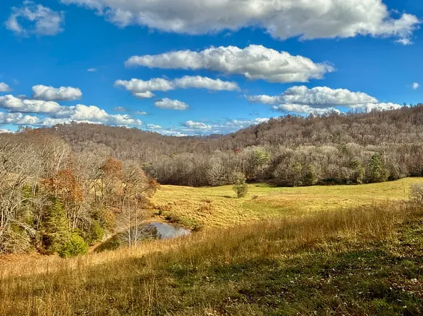 1520 Brittontown Rd, Afton, TN 37616