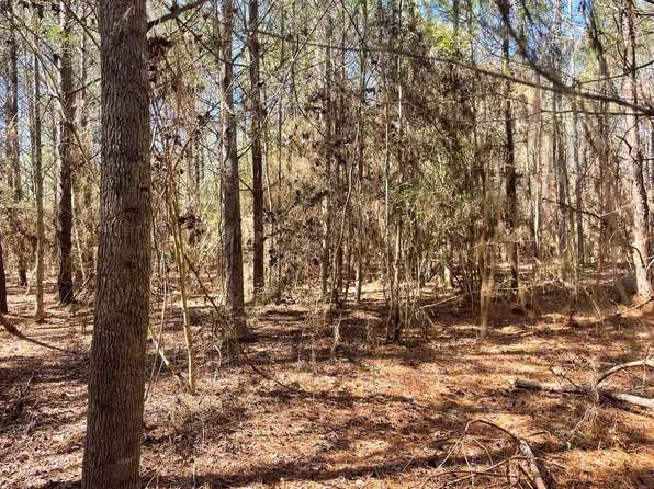 175 Hammond Rd, Oak Vale, MS 39656