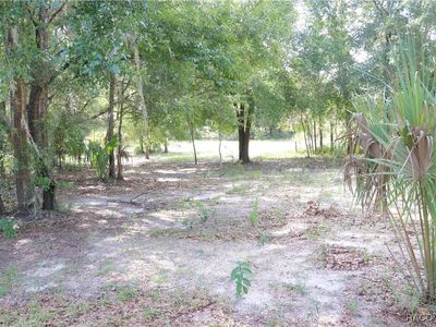 11924 N Belluzzi Ter, Dunnellon, FL, 34433