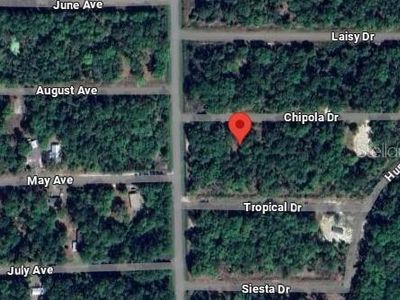 105 Chipola Dr #3, Georgetown, FL, 32139