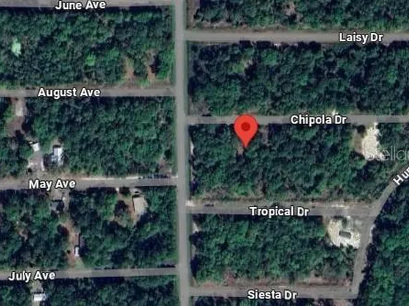105 Chipola Dr #3, Georgetown, FL 32139