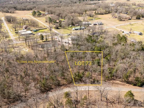 LOT 73 Rs County Rd #3376, Emory, TX 75440